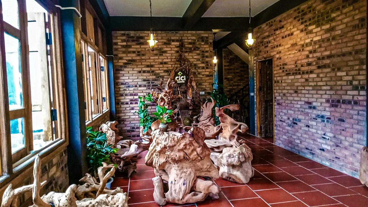 Cici Homestay Dong Van Bagian luar foto